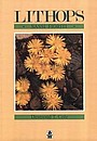 L009: LITHOPS SASSI FIORITI (flowering stones) Cactus & Co Italy