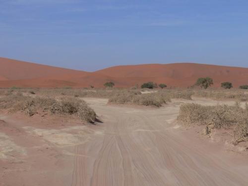 Namib-desert-Sossuslvei-Namibie-leden-2009-P1130230
