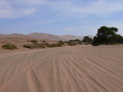Namib-desert-Sossuslvei-Namibie-leden-2009-P1130232