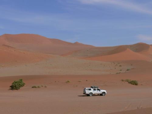 Namib-desert-Sossuslvei-Namibie-leden-2009-P1130243