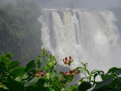 Victoria-Falls-Zimbabwe-Namibie-leden-2009-P1140246