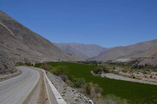Krajina-La-Pampa-Peru Chile-2014 2890