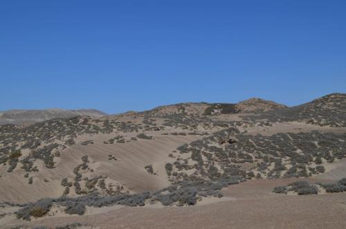 Lokalita-Nazca-to-San-Juan-de-Marcona-GPS193-Peru Chile-2014 0366