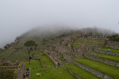 Machu-Picchu-Peru Chile-2014 0757