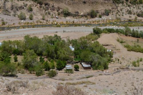 Eriosyce-lapampaensis-PV2804-La-Pampa Malaquin-GPS71-Peru Chile-2014 2888