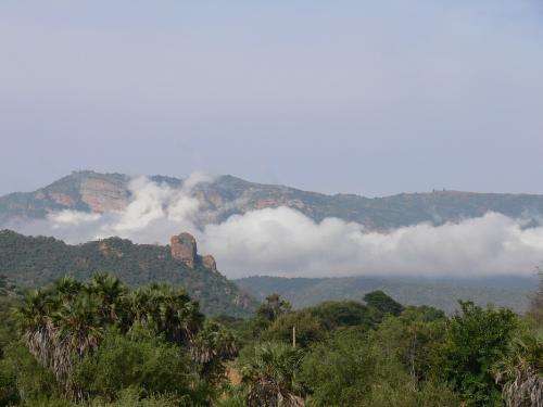 Krajina-Ghazi-Kenya-2012 PV1584