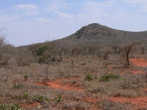 Lokalita-Maktau-GPS184-Kenya-2012 PV1495