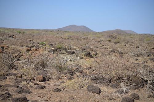 Lokalita-Marsabit-severne-16km-GPS173-Kenya-2014 0544