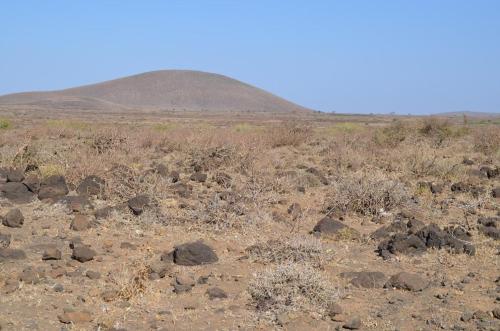Lokalita-Marsabit-severne-16km-GPS173-o-2km-dale-Kenya-2014 0751