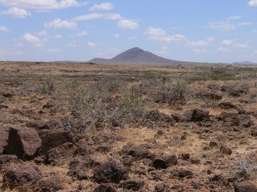 Lokalita-Marsabit-severne-od-GPS173-Kenya-2012 PV0896