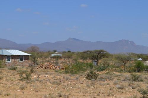 Euphorbia-sp-Archers-Post-PV2706-Archers-Post-Kenya-2014 0350