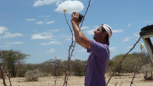 Jatropha-dichtar-Laisamis-jizne-Kenya-2012-Kazungu-P1030794