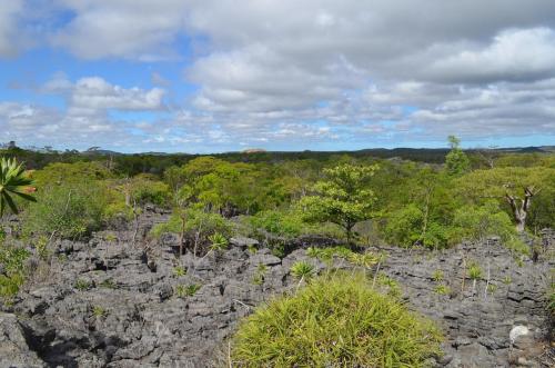 Lokalita-Ankarana-Lodge-Ambilobe-Mad-2015 0671