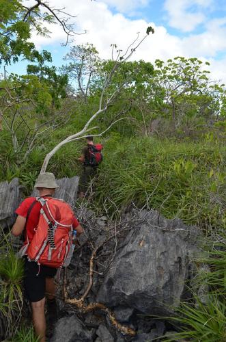 Lokalita-Ankarana-Lodge-Ambilobe-Mad-2015 0708